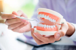 Dentists in Blackfalds | Dentists in Red Deer | Dentists in Lacombe